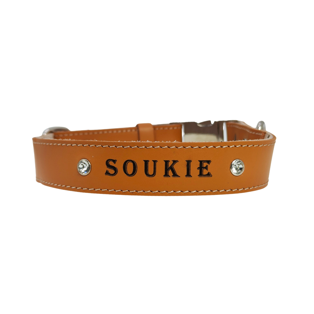 Collier O'PoilClips Camel pour Chien