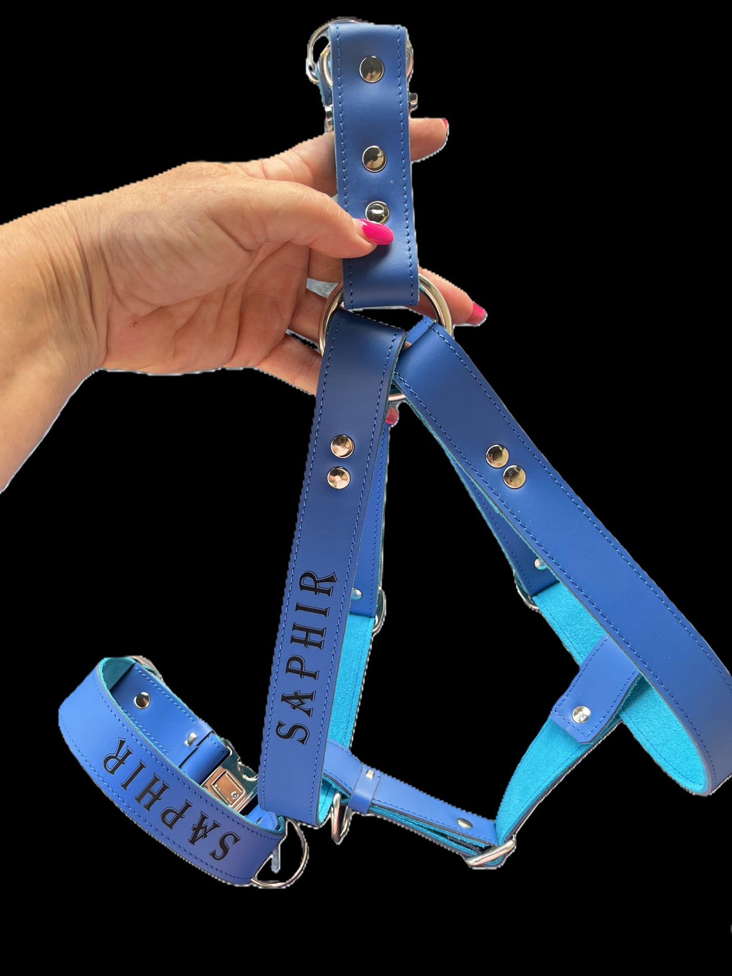 Collier O'PoilSafe Bleu Royal pour Chien