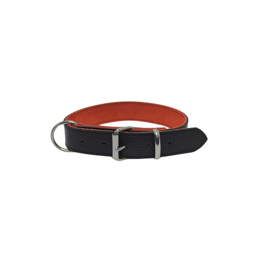 Collier cuir Noir pour Chien
