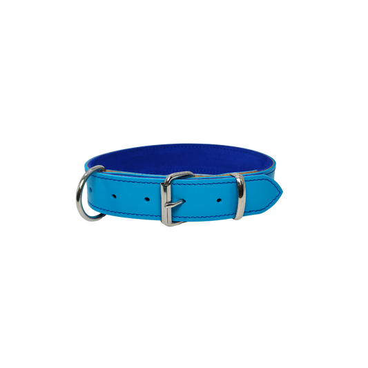 Collier cuir Turquoise pour Chien