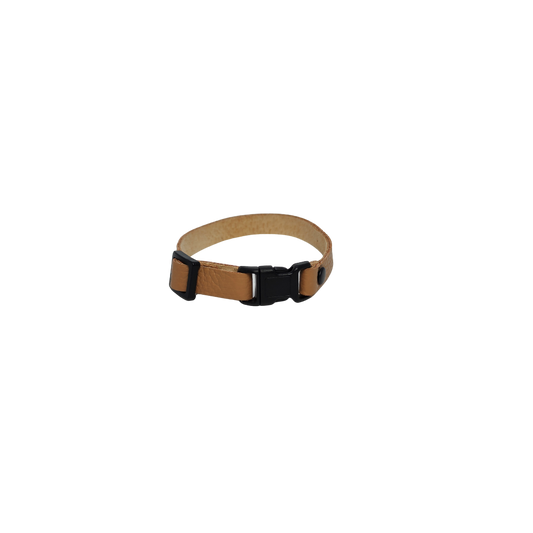 Collier cuir pour chat avec système d'ouverture automatique