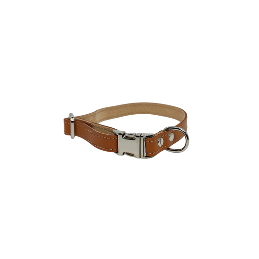Collier cuir clipsable pour chat et petit chien