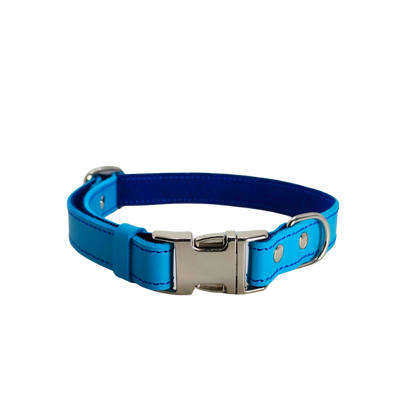 Collier O'PoilClips Turquoise pour Chien