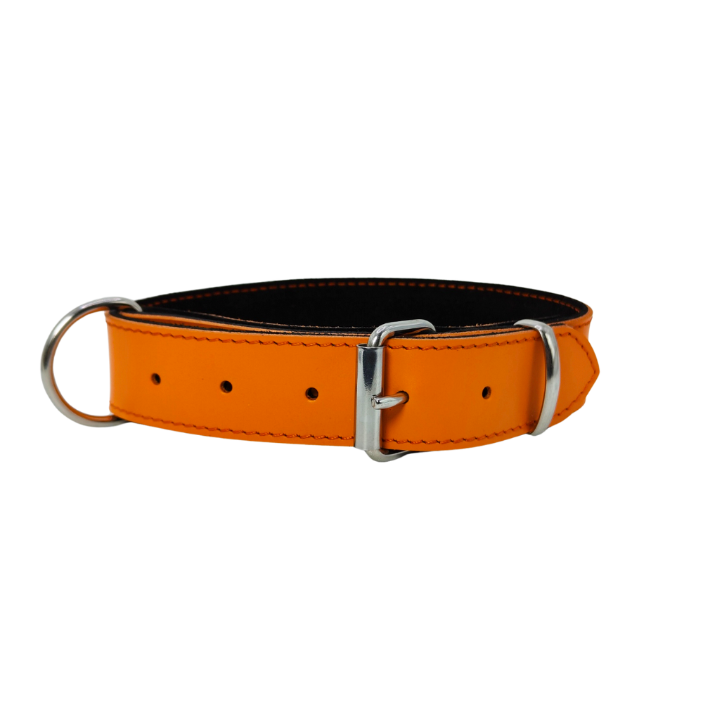 Collier O'PoilSafe Orange pour Chien