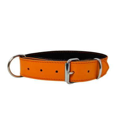Collier O'PoilSafe Orange pour Chien