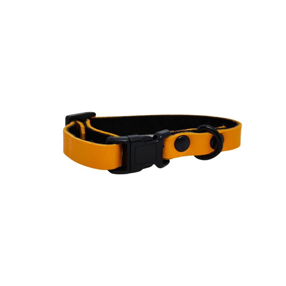 Collier O'poilFlex pour Chat