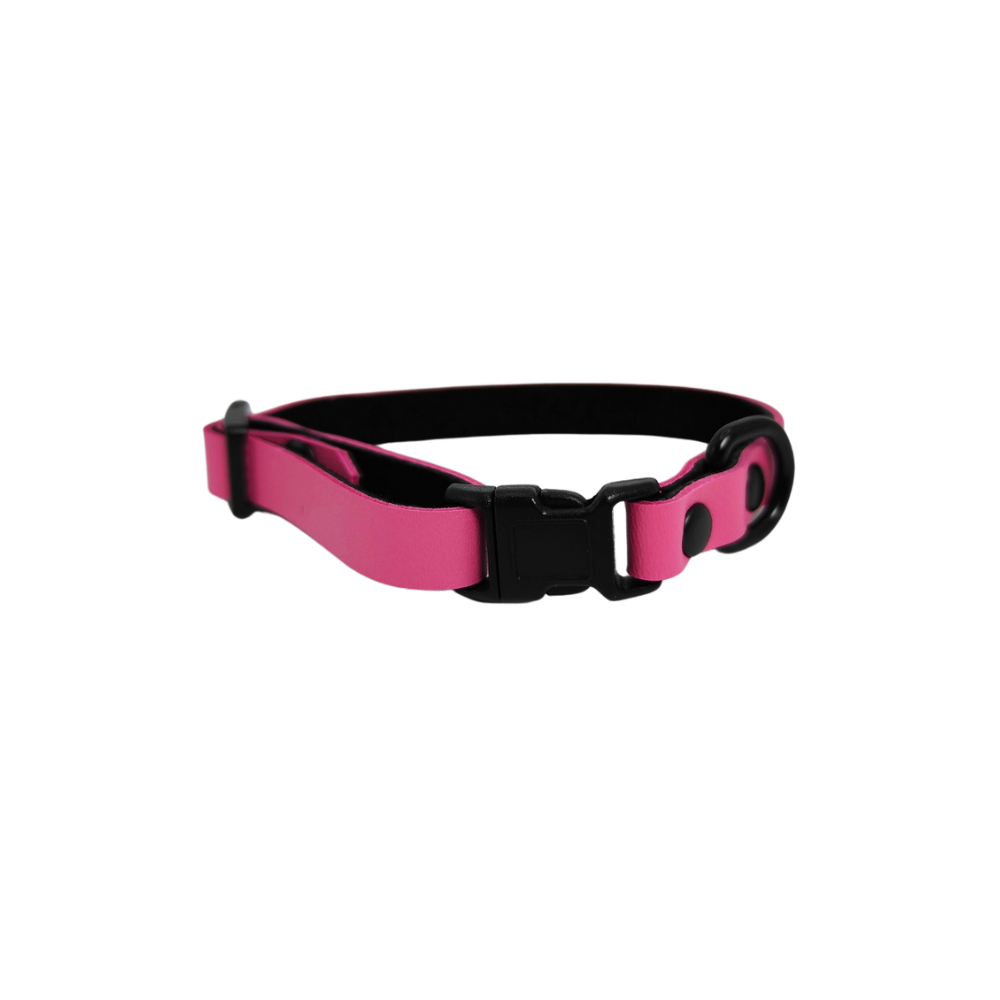Collier O'poilFlex pour Chat