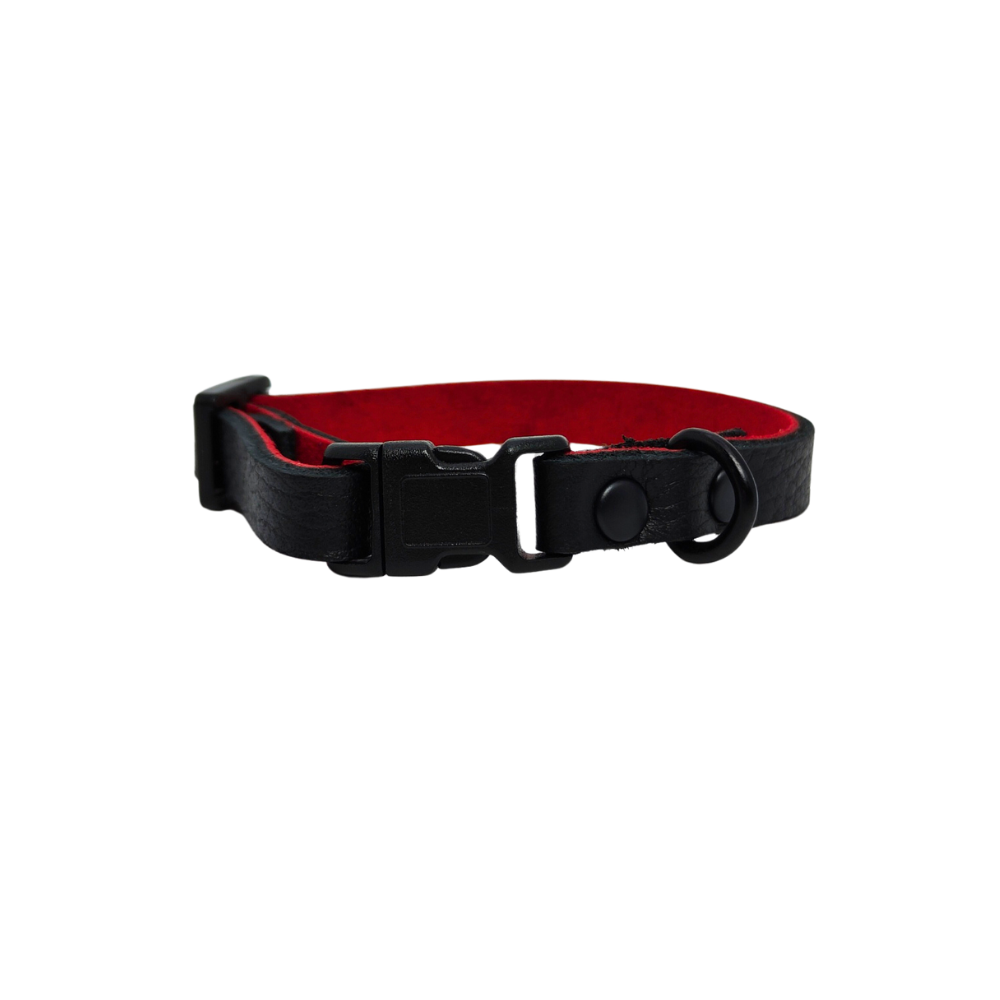 Collier O'poilFlex pour Chat