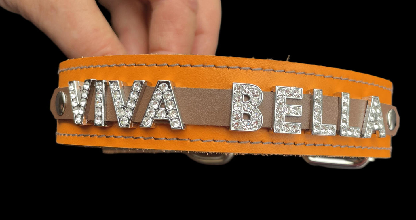 Collier O'PoilSafe Orange pour Chien