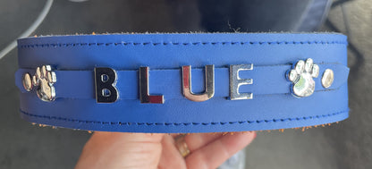 Collier O'PoilSafe Bleu Royal pour Chien