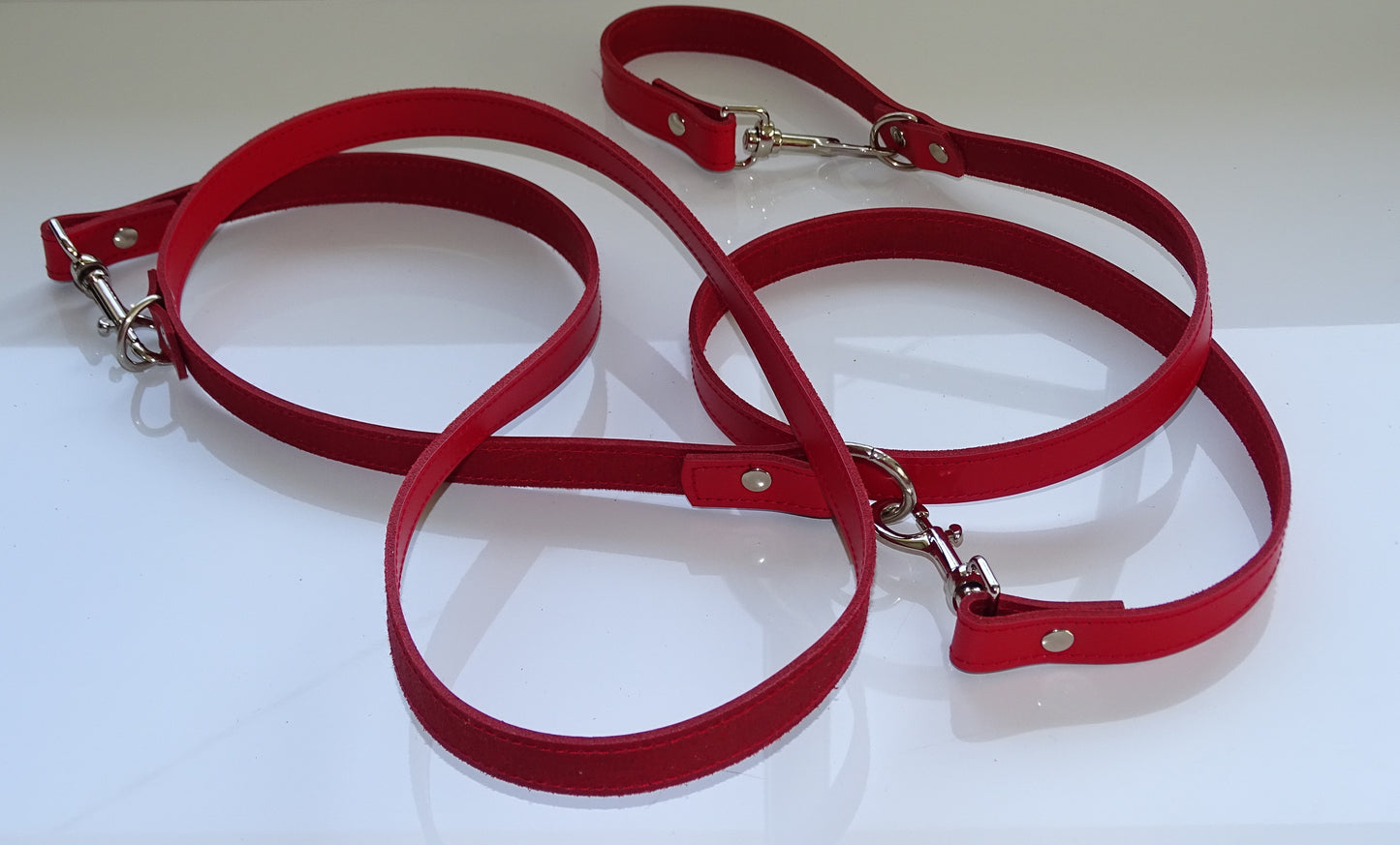 Laisses cuir Dressage Multipostions