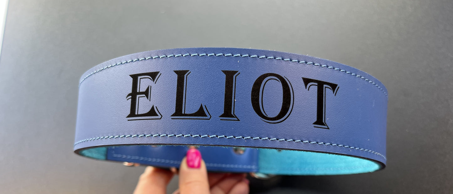 Collier O'PoilSafe Bleu Royal pour Chien