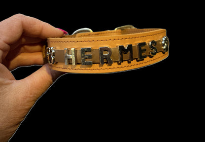 Collier O'PoilSafe camel pour Chien