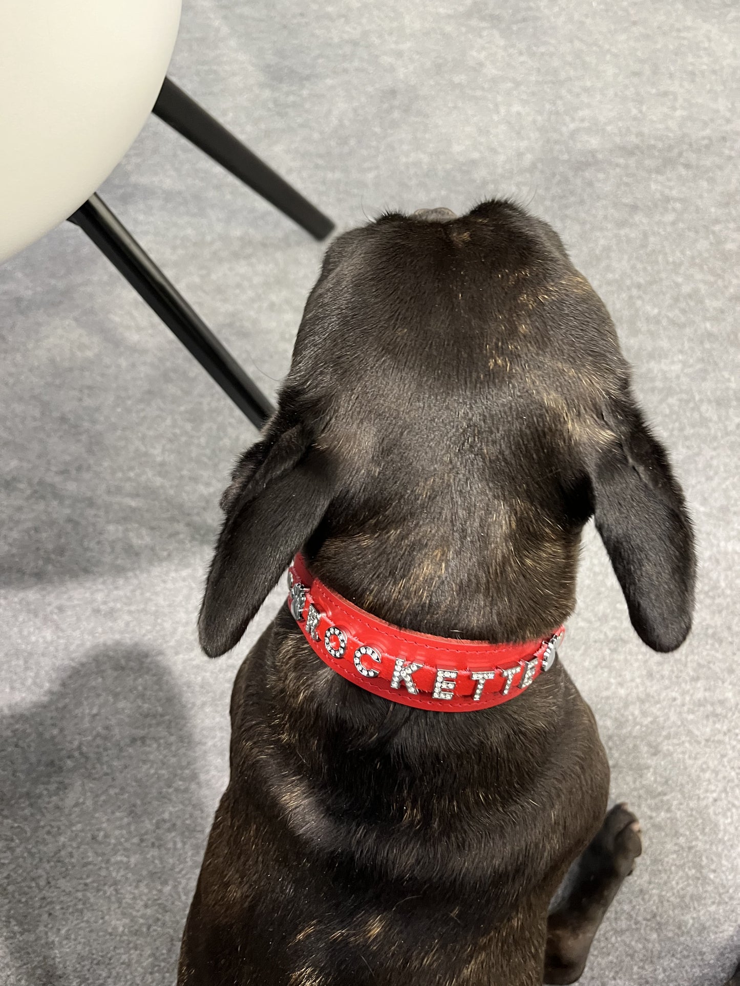 Collier O'PoilSafe Rouge pour Chien