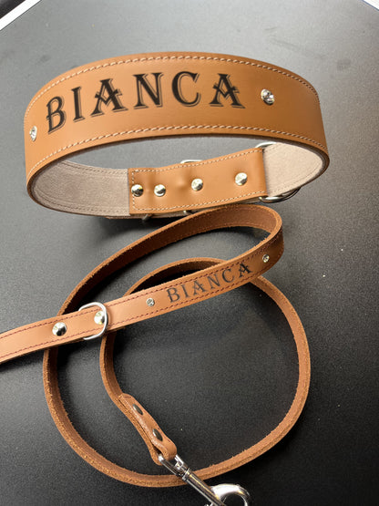 Collier O'PoilSafe camel pour Chien