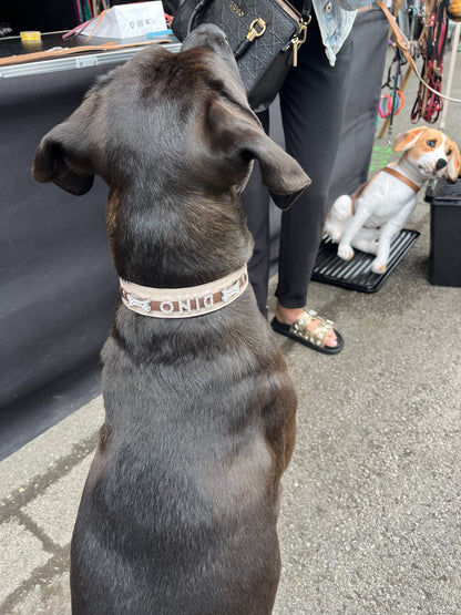 Collier O'PoilSafe Ivoire pour Chien