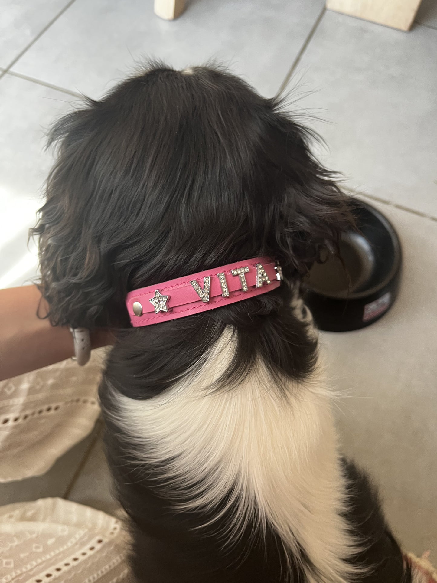 Collier O'PoilSafe Rose pour Chien