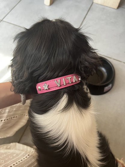Collier O'PoilSafe Rose pour Chien