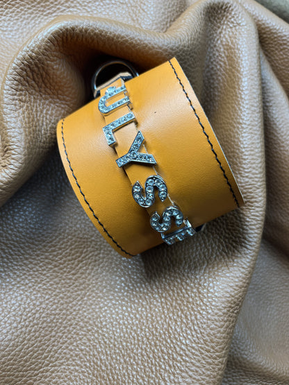 Collier O'PoilSafe Orange pour Chien