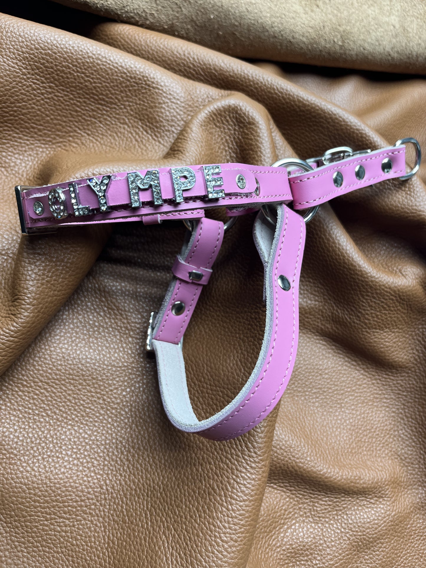 Collier O'PoilSafe Rose pour Chien