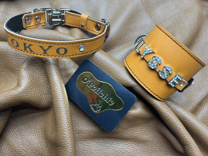 Collier O'PoilSafe Orange pour Chien