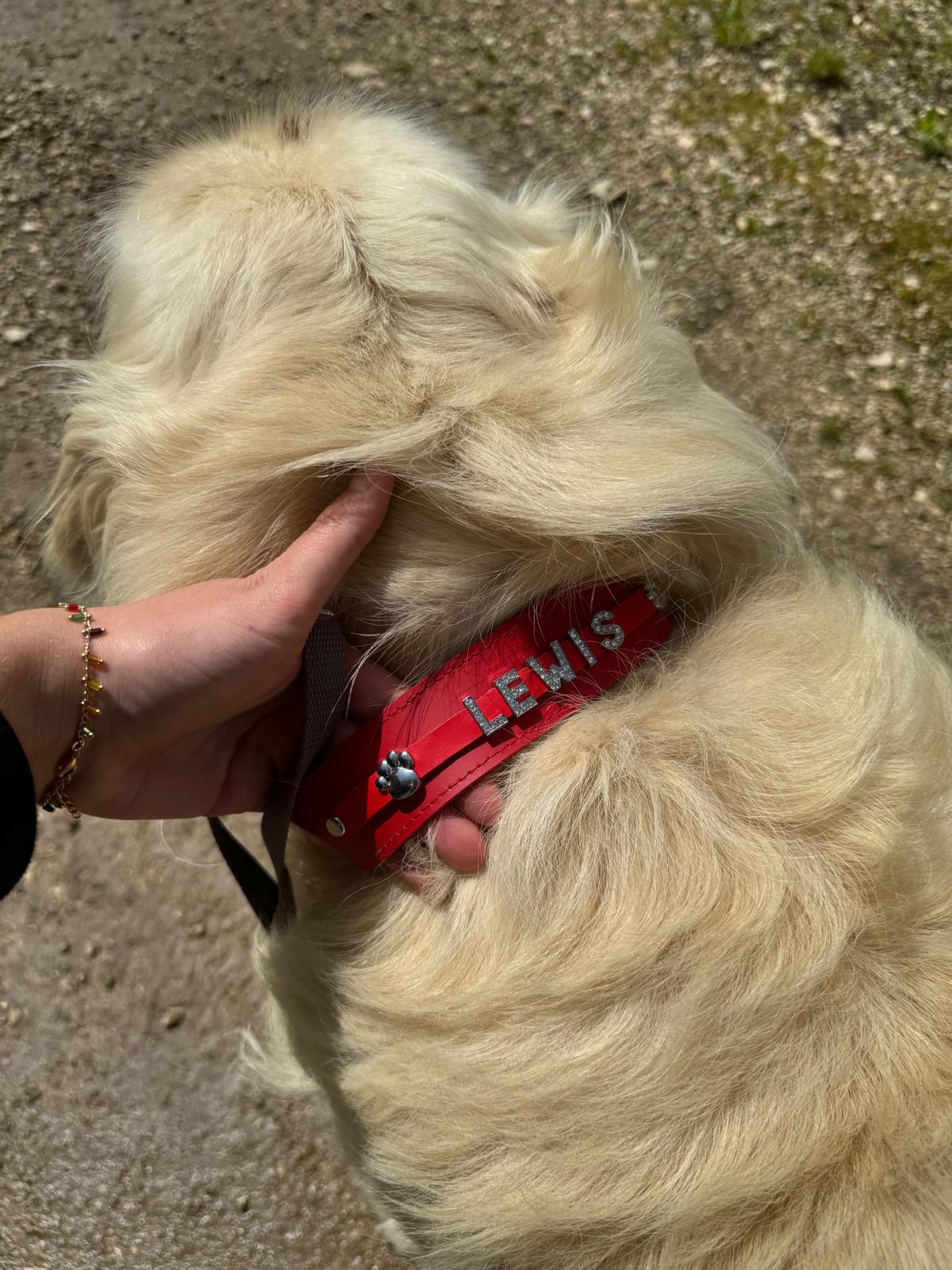 Collier O'PoilSafe Rouge pour Chien