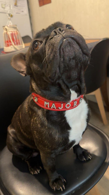 Collier O'PoilSafe Rouge pour Chien