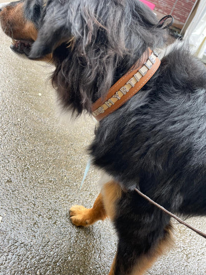 Collier O'PoilSafe camel pour Chien