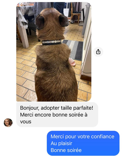 Collier O'PoilSafe Noir pour Chien