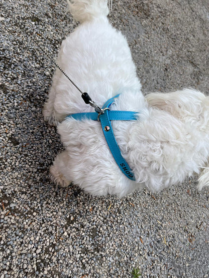 Collier O'PoilSafe Turquoise pour Chien