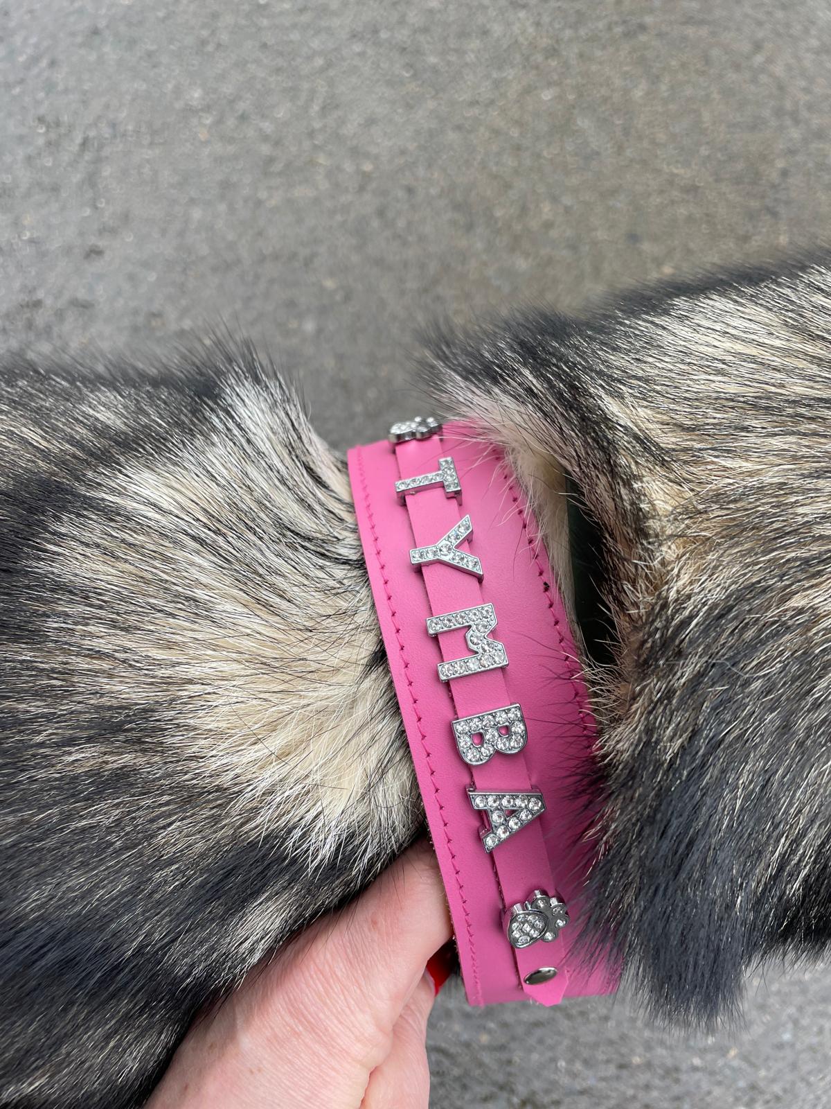 Collier O'PoilSafe Rose pour Chien