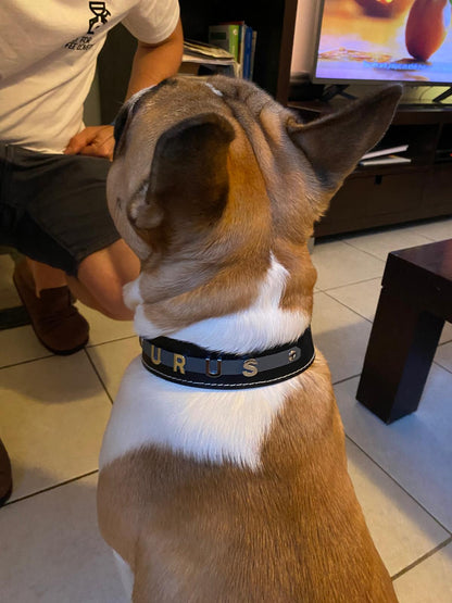 Collier O'PoilSafe Noir pour Chien