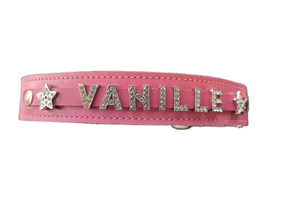 Collier O'PoilSafe Rose pour Chien